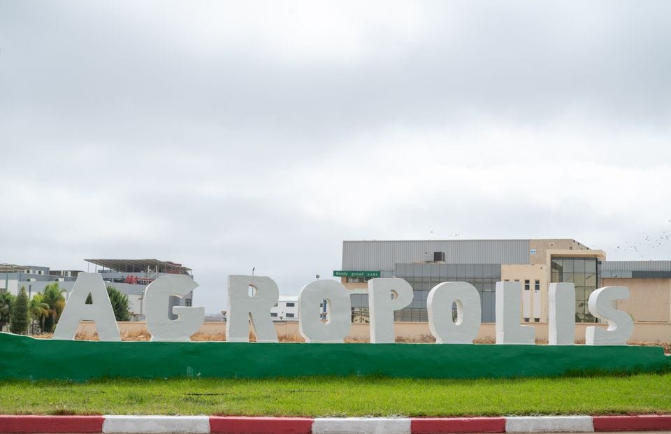 agrropolis_2.jpg