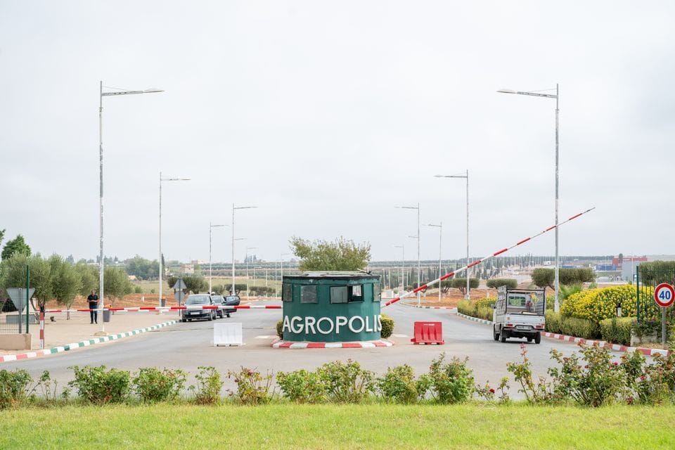 agrropolis_4.jpg