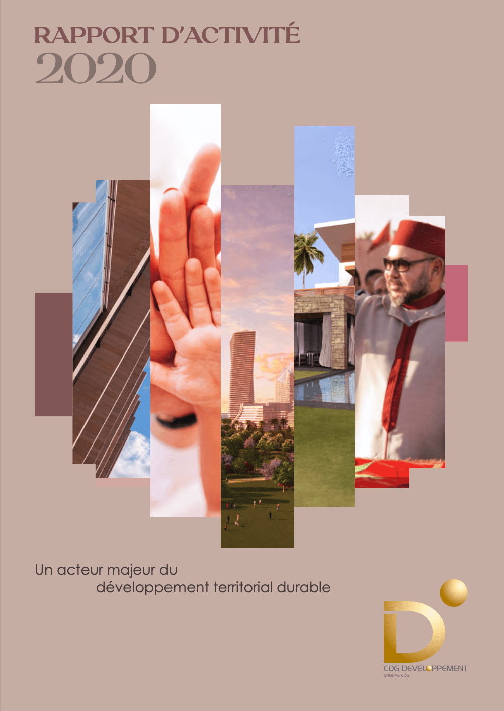 rapport d'activité