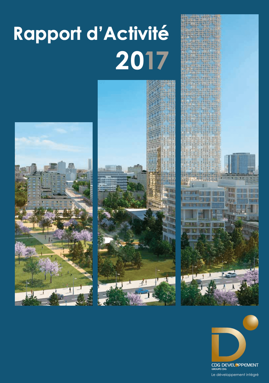 Rapport_2017.png
