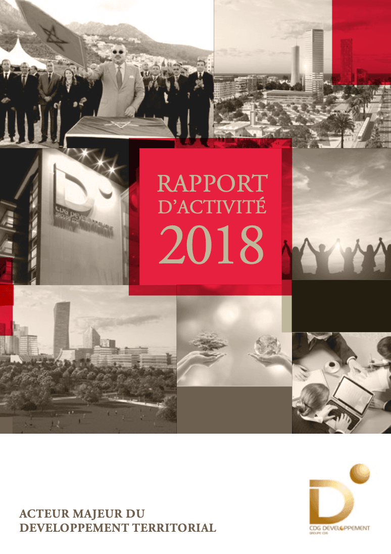 Rapport_2018.png